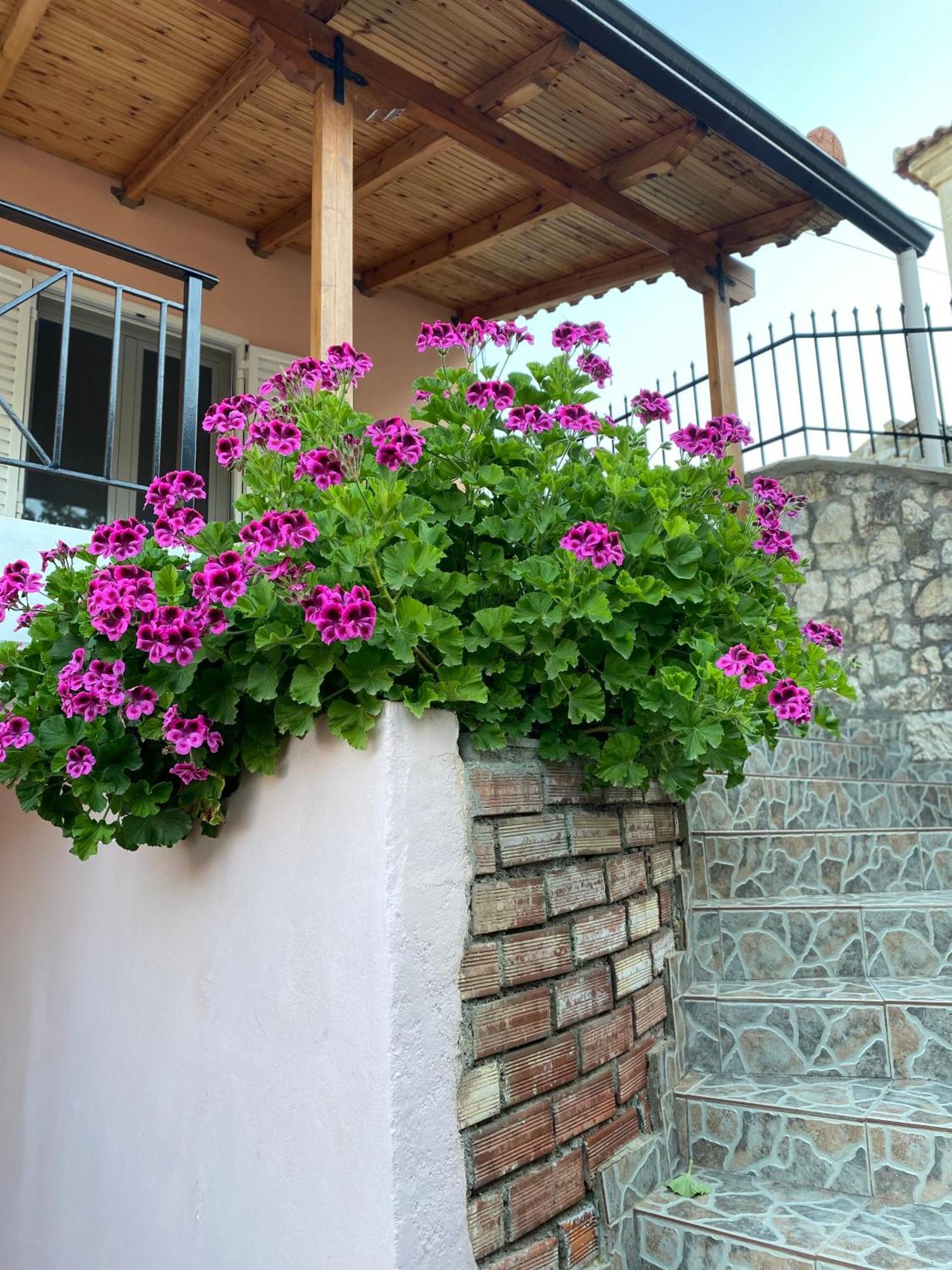 فيلا Gkoros House Old Town هيماري المظهر الخارجي الصورة
